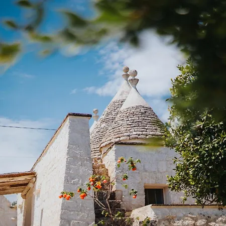 ゲストハウス Trullo Di Nelly 3*