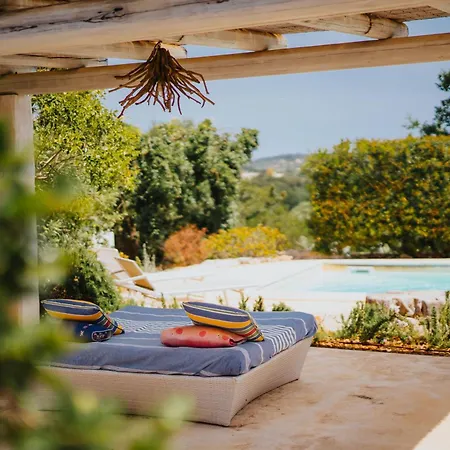 ゲストハウス Trullo Di Nelly チステルニーノ